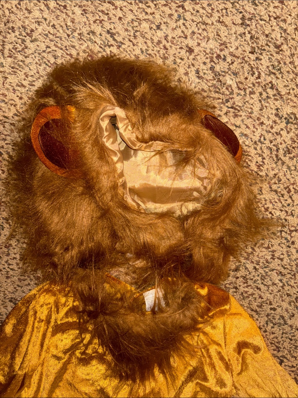 Lion Costume - Picture 2 of 4